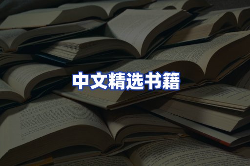 中文精选书籍